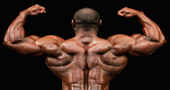 Bodybuilding – The Basics